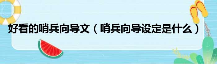 好看的哨兵向导文 哨兵向导设定是什么