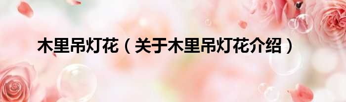 木里吊灯花 关于木里吊灯花介绍