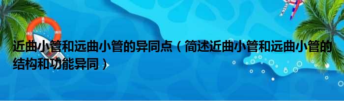 近曲小管和远曲小管的异同点 简述近曲小管和远曲小管的结构和功能异同