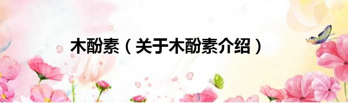 木酚素 关于木酚素介绍