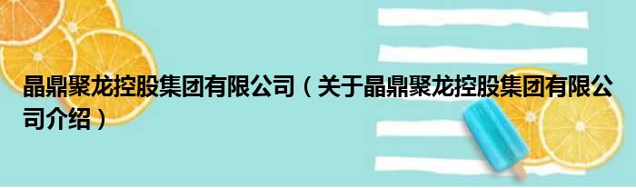 晶鼎聚龙控股集团有限公司 关于晶鼎聚龙控股集团有限公司介绍