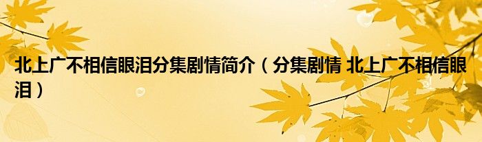 北上广不相信眼泪分集剧情简介 分集剧情 北上广不相信眼泪