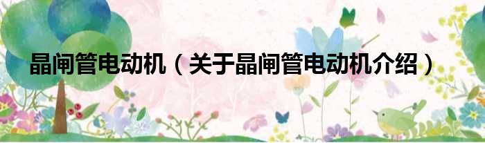 晶闸管电动机 关于晶闸管电动机介绍