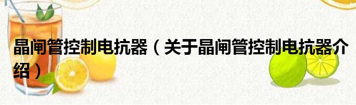 晶闸管控制电抗器 关于晶闸管控制电抗器介绍