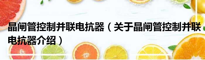 晶闸管控制并联电抗器 关于晶闸管控制并联电抗器介绍