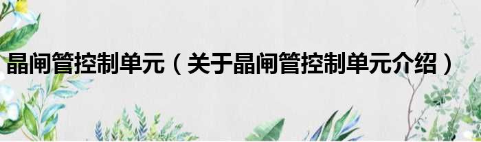 晶闸管控制单元 关于晶闸管控制单元介绍