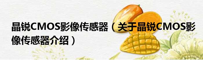 晶锐CMOS影像传感器 关于晶锐CMOS影像传感器介绍