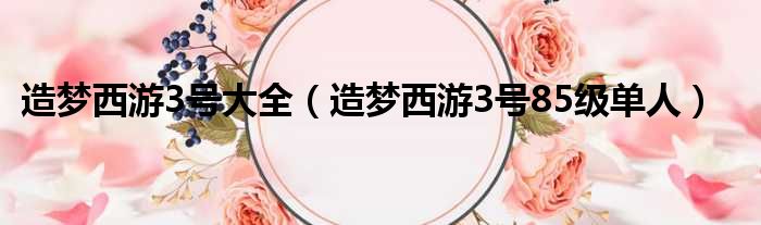 造梦西游3号大全 造梦西游3号85级单人