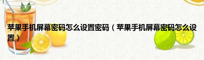 苹果手机屏幕密码怎么设置密码 苹果手机屏幕密码怎么设置