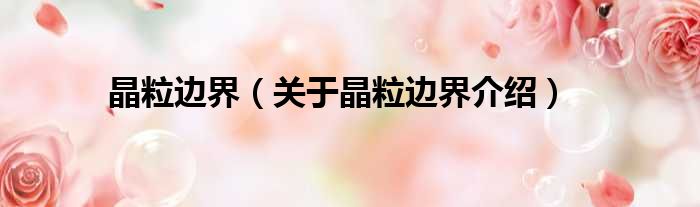 晶粒边界 关于晶粒边界介绍