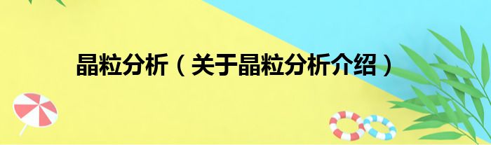 晶粒分析 关于晶粒分析介绍