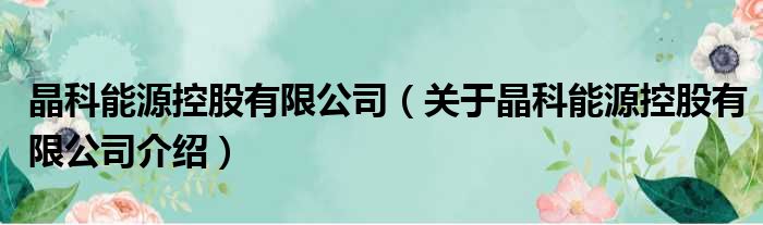 晶科能源控股有限公司 关于晶科能源控股有限公司介绍