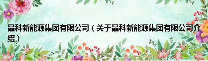 晶科新能源集团有限公司 关于晶科新能源集团有限公司介绍