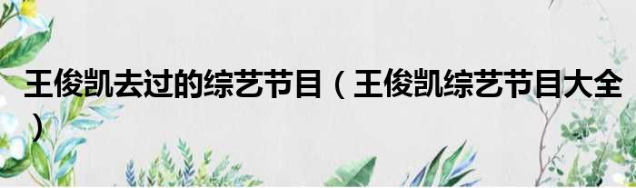 王俊凯去过的综艺节目 王俊凯综艺节目大全