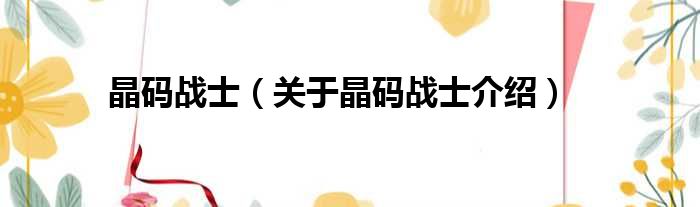 晶码战士 关于晶码战士介绍