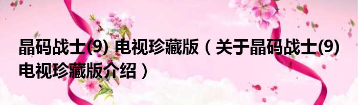 晶码战士 9 电视珍藏版 关于晶码战士 9 电视珍藏版介绍