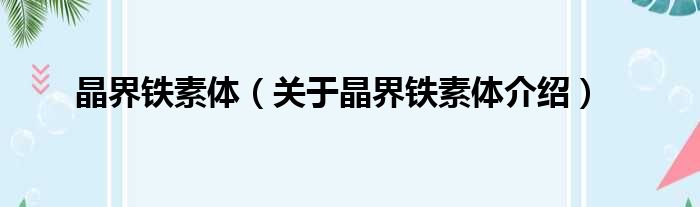 晶界铁素体 关于晶界铁素体介绍