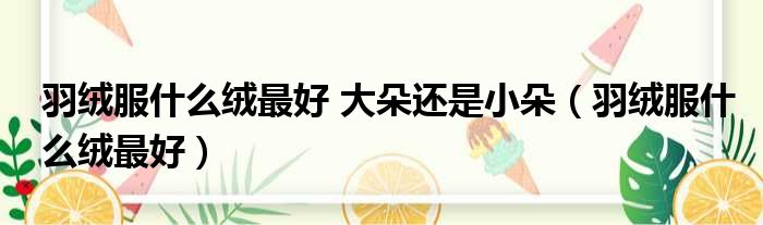 羽绒服什么绒最好 大朵还是小朵 羽绒服什么绒最好