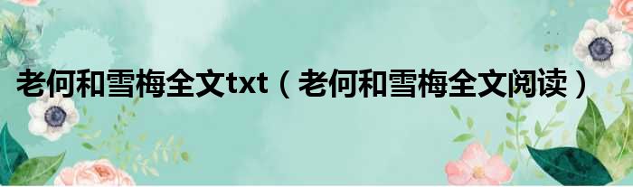 老何和雪梅全文txt 老何和雪梅全文阅读