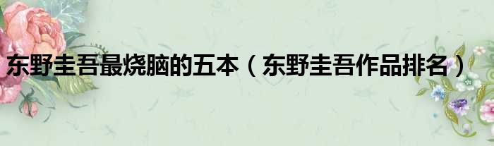 东野圭吾最烧脑的五本 东野圭吾作品排名