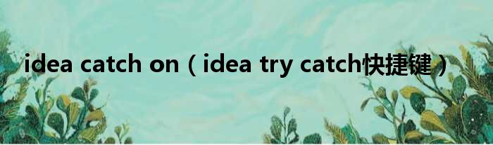 idea catch on idea try catch快捷键