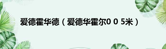 爱德霍华德 爱德华霍尔0 0 5米
