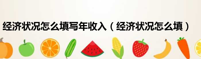 经济状况怎么填写年收入 经济状况怎么填
