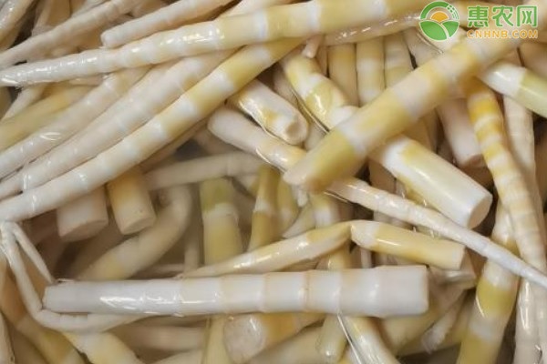 白菜涨价韩大幅进口中国泡菜是怎么回事