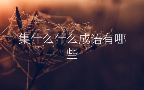 集什么什么成语有哪些