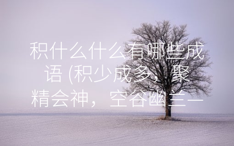 积什么什么有哪些成语 (积少成多，聚精会神，空谷幽兰——探秘-积”字成语的意义和价值)