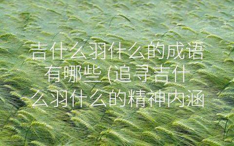 吉什么羽什么的成语有哪些 (追寻吉什么羽什么的精神内涵)