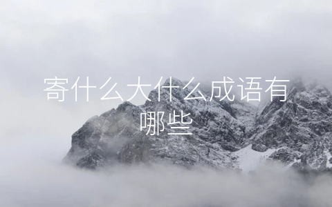 寄什么大什么成语有哪些