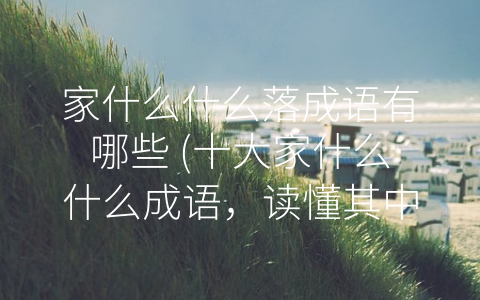 家什么什么落成语有哪些 (十大家什么什么成语，读懂其中寓意)