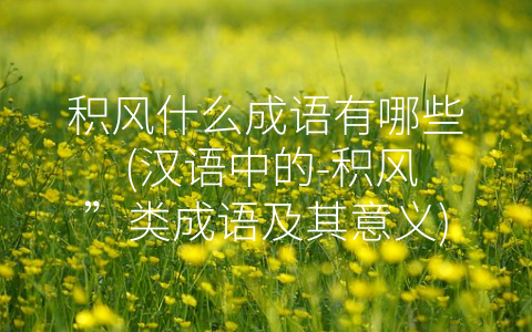 积风什么成语有哪些 (汉语中的-积风”类成语及其意义)