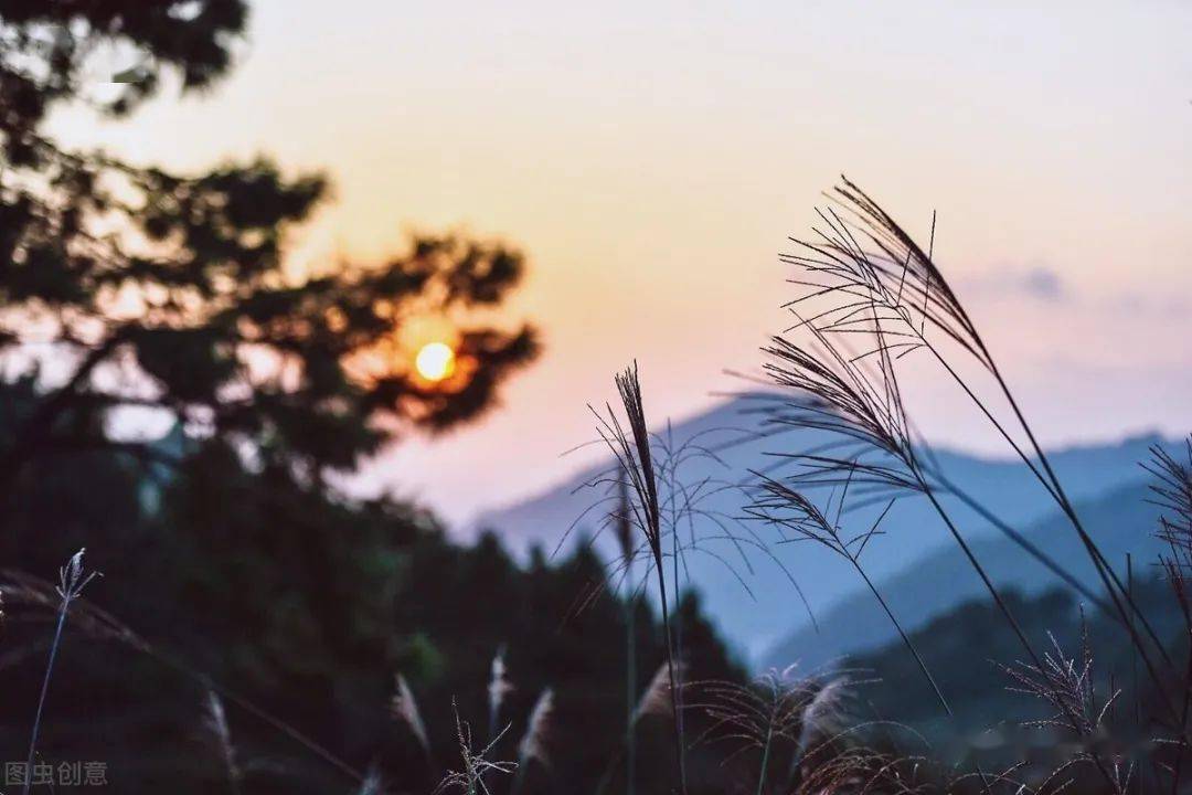 生而自由_熟人变生人比生人还生_同校生2怎么进去自由模式