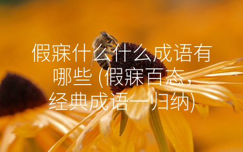 假寐什么什么成语有哪些 (假寐百态，经典成语一归纳)