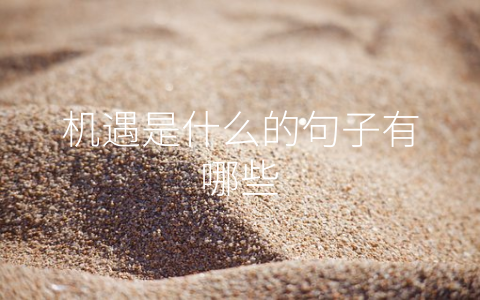 机遇是什么的句子有哪些