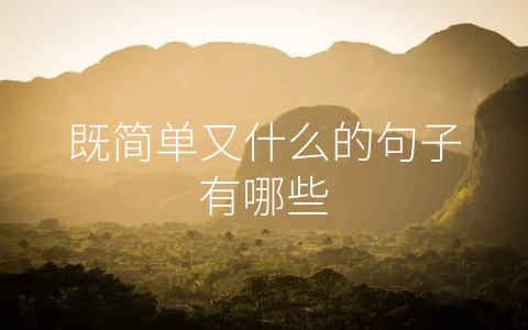 既简单又什么的句子有哪些