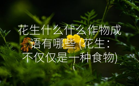 花生什么什么作物成语有哪些 (花生：不仅仅是一种食物)