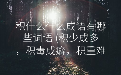 积什么什么成语有哪些词语 (积少成多，积毒成癖，积重难返！解读积累类成语的含义与应用。)