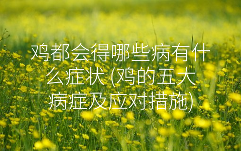 鸡都会得哪些病有什么症状 (鸡的五大病症及应对措施)