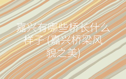 嘉兴有哪些桥长什么样子 (嘉兴桥梁风貌之美)