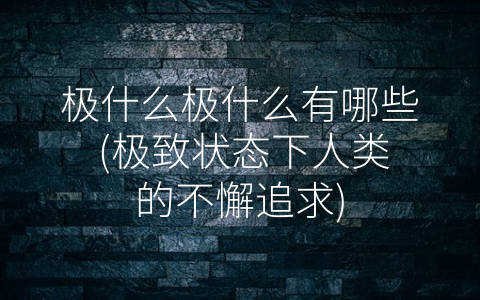 极什么极什么有哪些 (极致状态下人类的不懈追求)