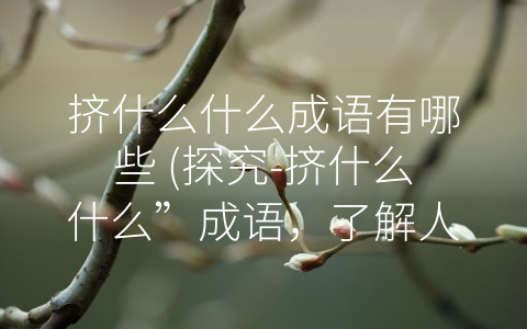 挤什么什么成语有哪些 (探究-挤什么什么”成语，了解人们的生活状态)