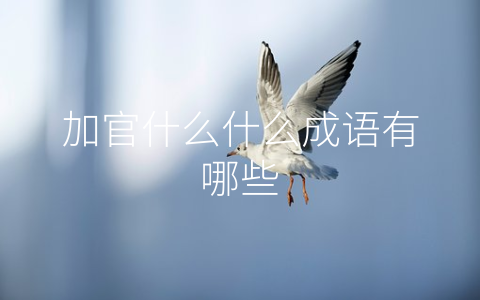 加官什么什么成语有哪些