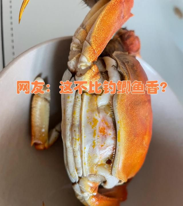 江苏一河道螃蟹泛滥,钓鱼人:一条鱼都钓不到,网友:螃蟹比鱼香图5