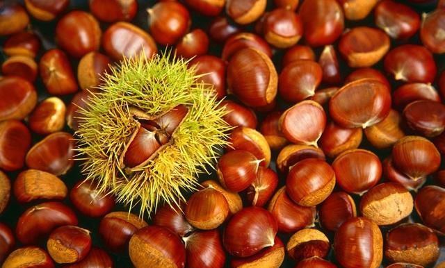 吃板栗有什么营养价值,吃板栗的快速方法图3