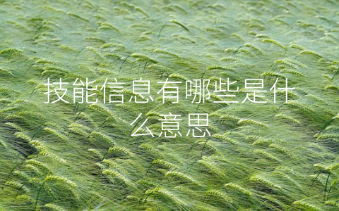 技能信息有哪些是什么意思