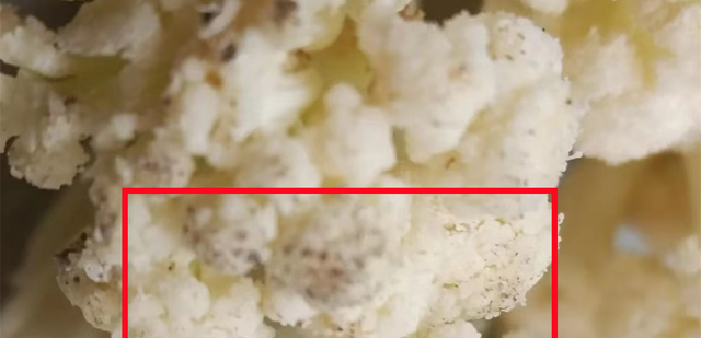 炒什么菜的时候需要焯水(必须焯水的十大菜)图7