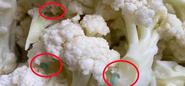 炒什么菜的时候需要焯水(必须焯水的十大菜)图9